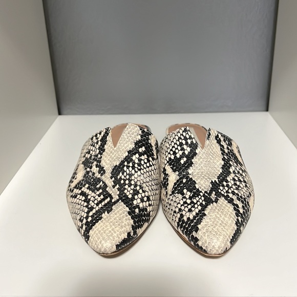 Steve Madden Ally Flats Slide Mule In Cream Snakeskin Size 7 - Picture 4 of 8